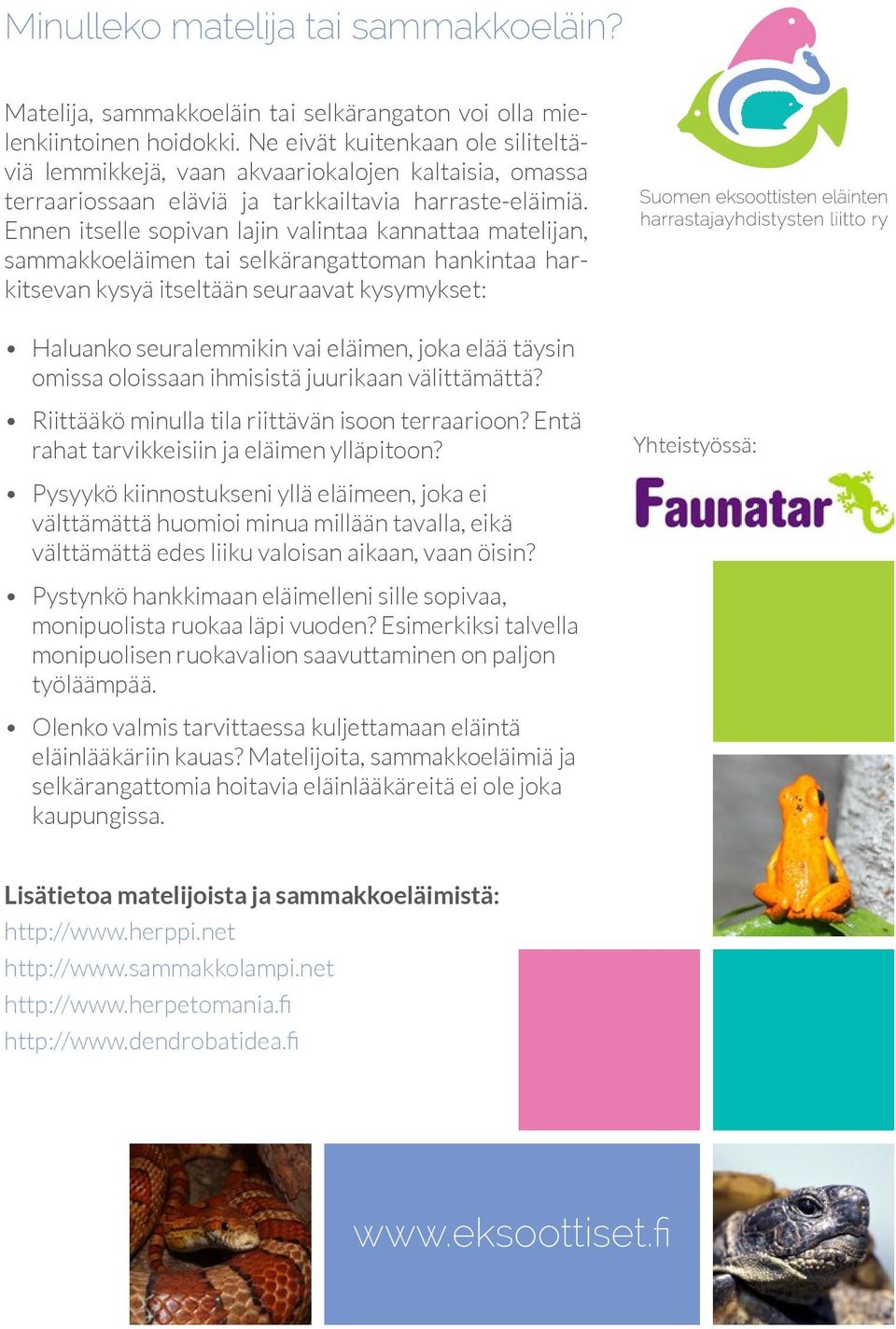 Ennen itselle sopivan lajin valintaa kannattaa matelijan, sammakkoeläimen tai selkärangattoman hankintaa harkitsevan kysyä itseltään seuraavat kysymykset: Haluanko seuralemmikin vai eläimen, joka