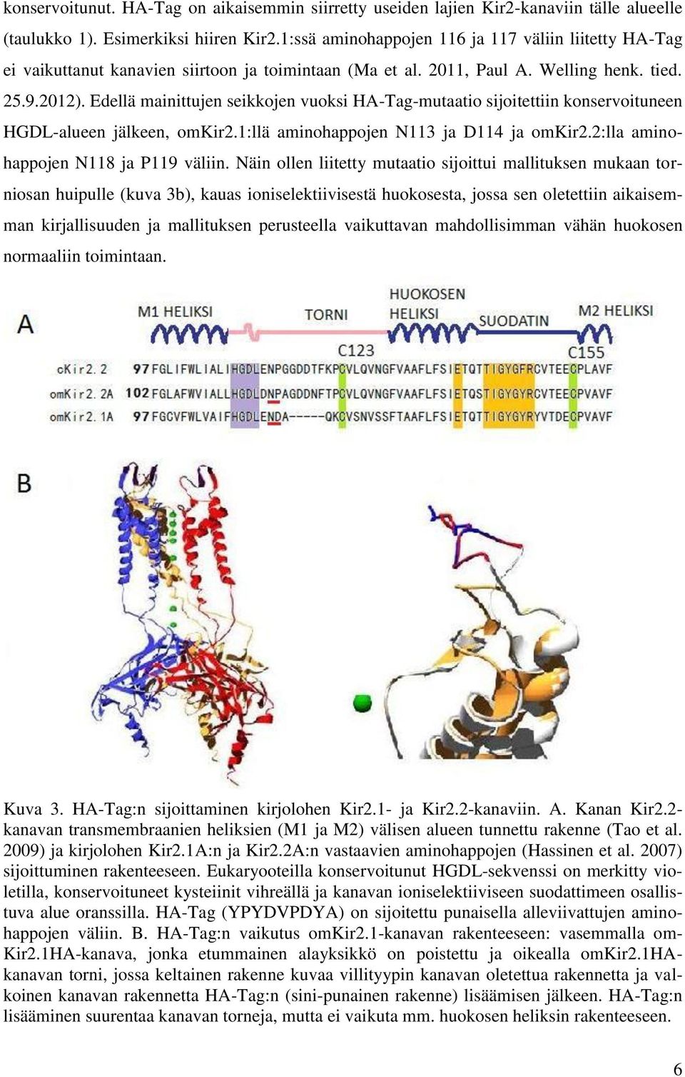 Edellä mainittujen seikkojen vuoksi HA-Tag-mutaatio sijoitettiin konservoituneen HGDL-alueen jälkeen, omkir2.1:llä aminohappojen N113 ja D114 ja omkir2.2:lla aminohappojen N118 ja P119 väliin.