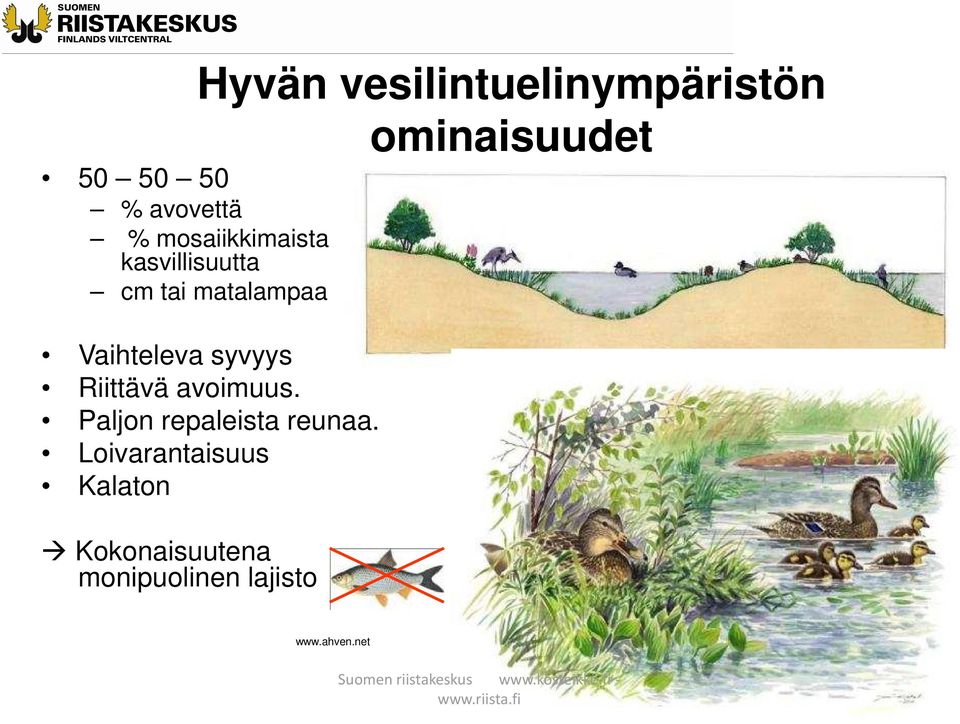 Vaihteleva syvyys Riittävä avoimuus. Paljon repaleista reunaa.