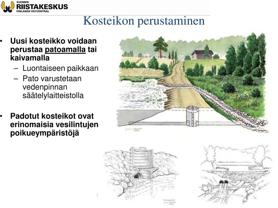 vedenpinnan säätelylaitteistolla Padotut kosteikot