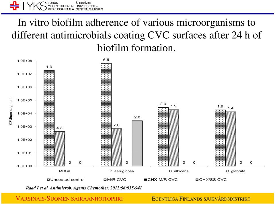 coating CVC surfaces after 24 h of biofilm