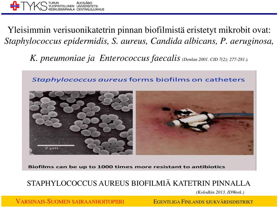 pneumoniae ja Enterococcus faecalis (Donlan 2001. CID 7(2);