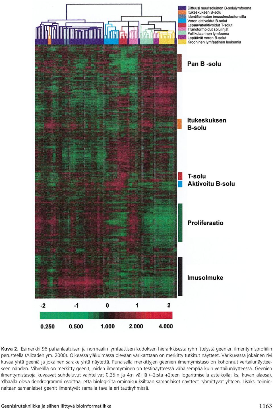 Punaisella merkittyjen geenien ilmentymistaso on kohonnut vertailunäytteeseen nähden. Vihreällä on merkitty geenit, joiden ilmentyminen on testinäytteessä vähäisempää kuin vertailunäytteessä.