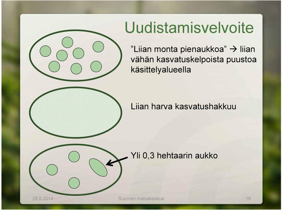 käsittelyalueella Liian harva kasvatushakkuu