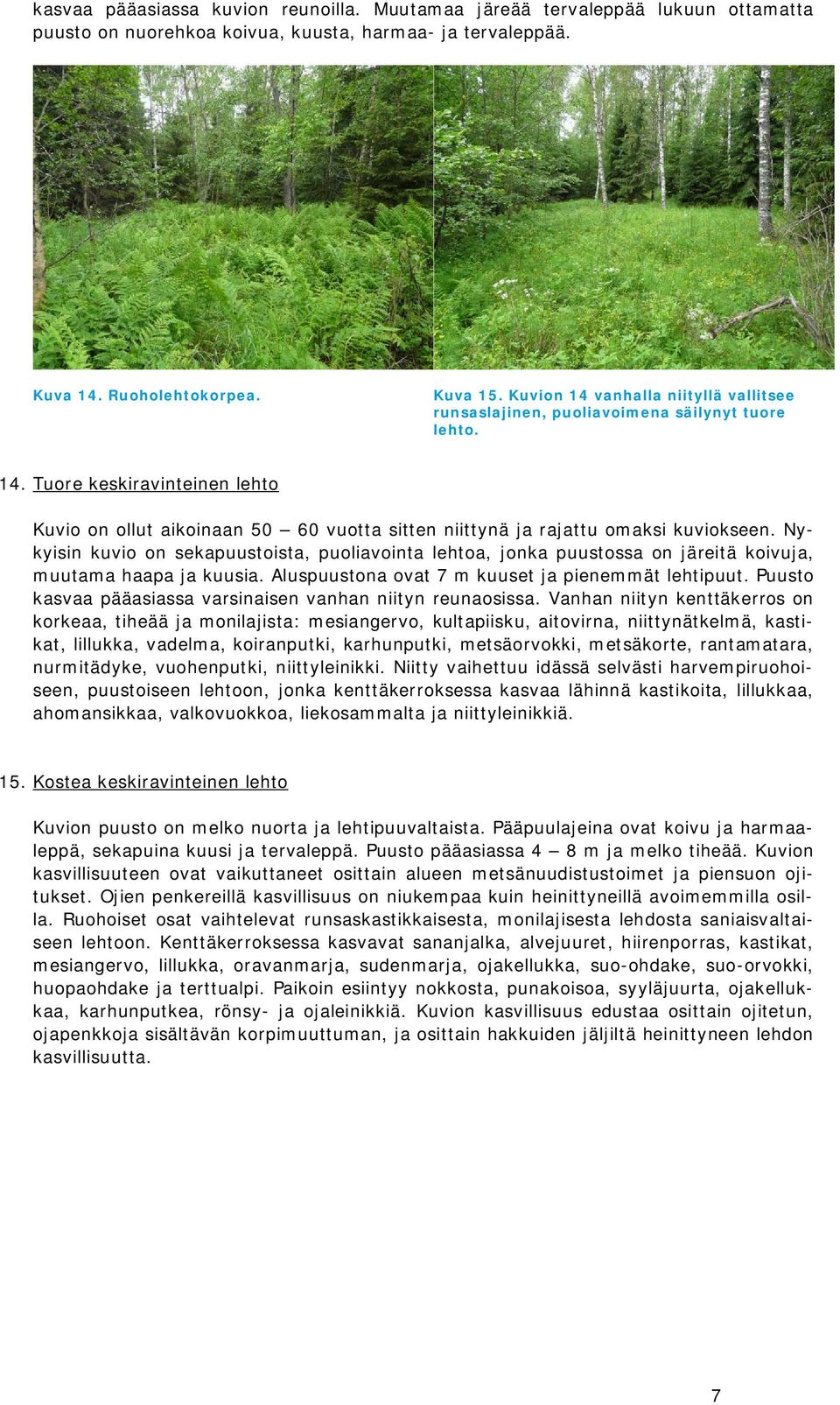 Nykyisin kuvio on sekapuustoista, puoliavointa lehtoa, jonka puustossa on järeitä koivuja, muutama haapa ja kuusia. Aluspuustona ovat 7 m kuuset ja pienemmät lehtipuut.