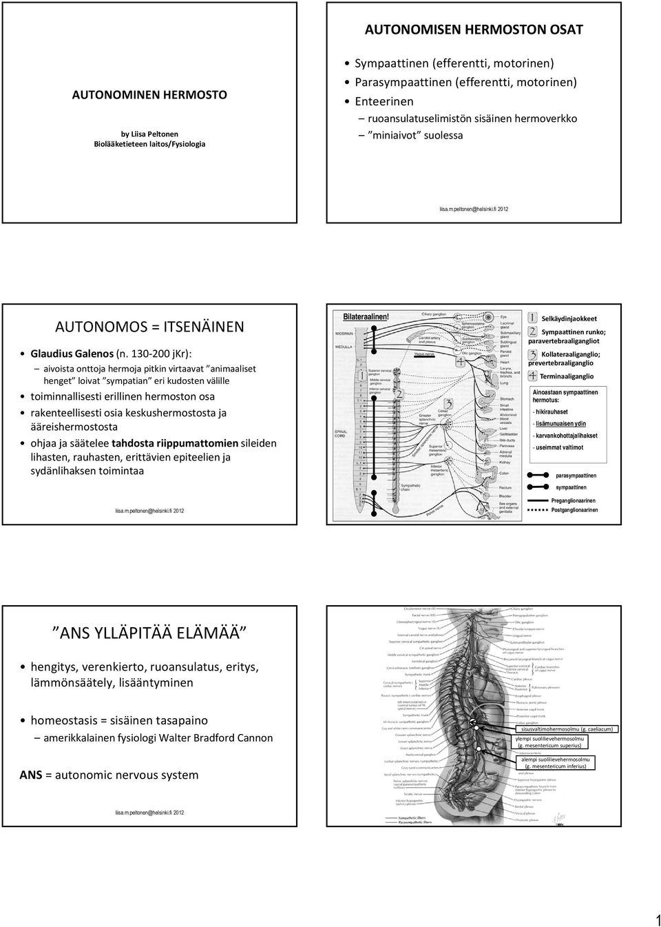 130 200 jkr): aivoista onttoja hermoja pitkin virtaavat animaaliset henget loivat sympatian eri kudosten välille toiminnallisesti erillinen hermoston osa rakenteellisesti osia keskushermostosta ja