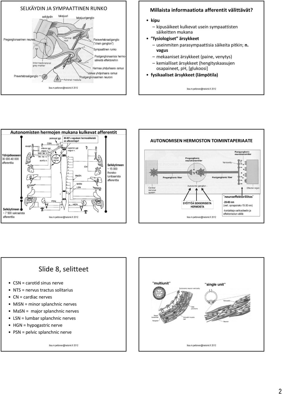 kipu kipusäikeet kulkevat usein sympaattisten säikeitten mukana fysiologiset ärsykkeet useinmiten parasympaattisia säikeita pitkin; n.