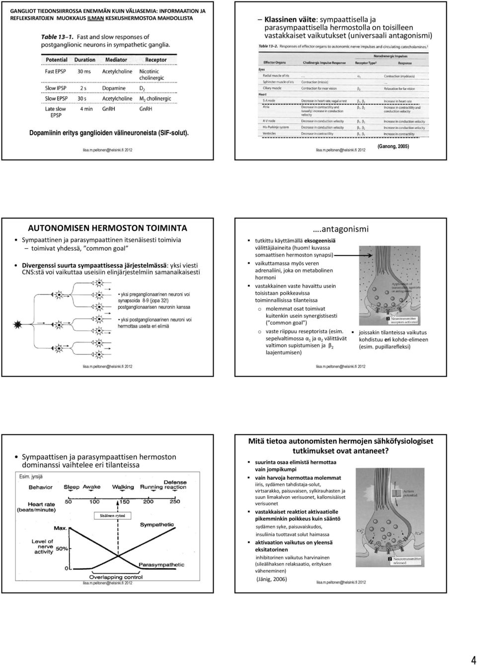 (Ganong, 2005) AUTONOMISEN HERMOSTON TOIMINTA Sympaattinen ja parasympaattinen itsenäisesti toimivia toimivat yhdessä, common goal Divergenssi suurta sympaattisessa järjestelmässä: yksi viesti