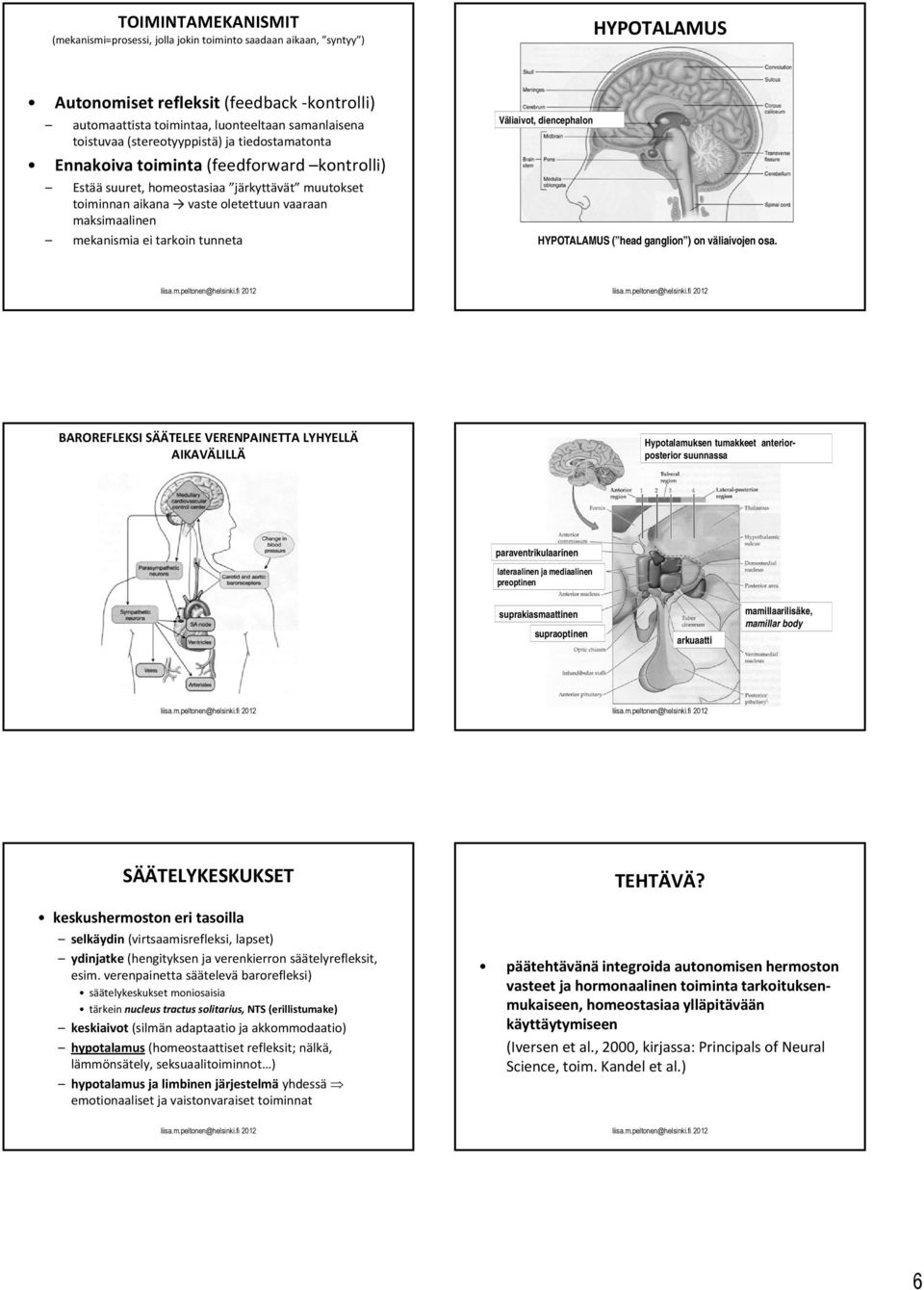 mekanismia ei tarkoin tunneta Väliaivot, diencephalon HYPOTALAMUS ( head ganglion ) on väliaivojen osa.