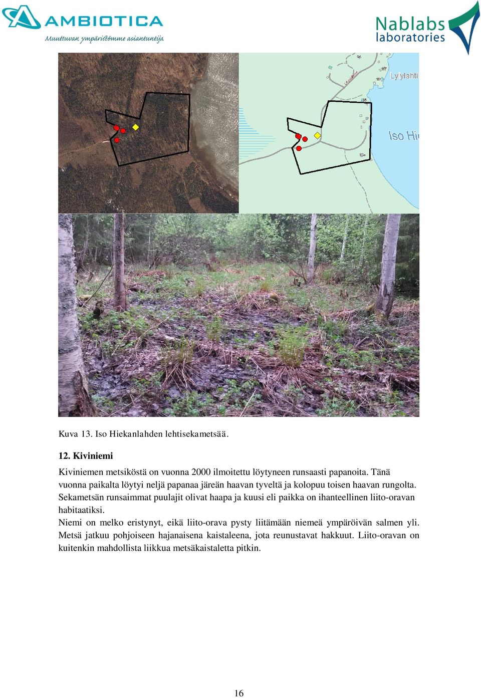 Sekametsän runsaimmat puulajit olivat haapa ja kuusi eli paikka on ihanteellinen liito-oravan habitaatiksi.