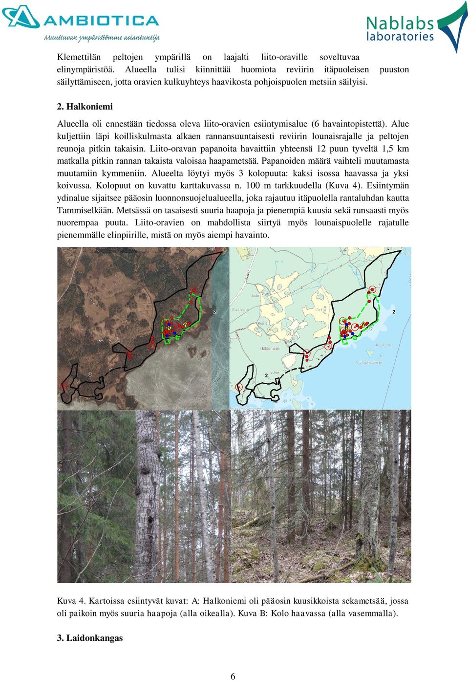 Halkoniemi Alueella oli ennestään tiedossa oleva liito-oravien esiintymisalue (6 havaintopistettä).