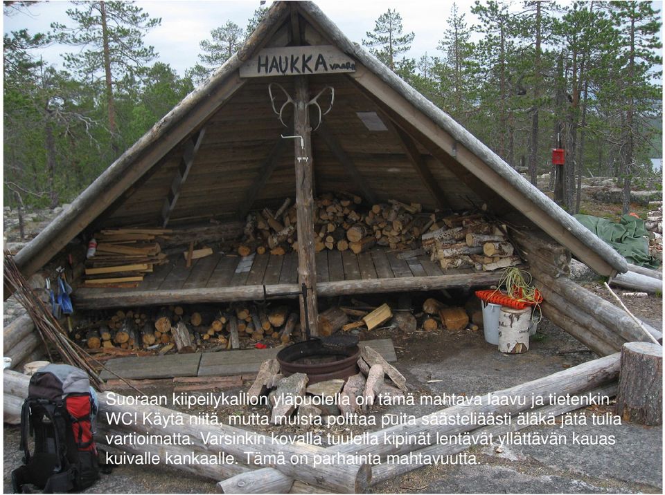 Käytä niitä, mutta muista polttaa puita säästeliäästi äläkä jätä