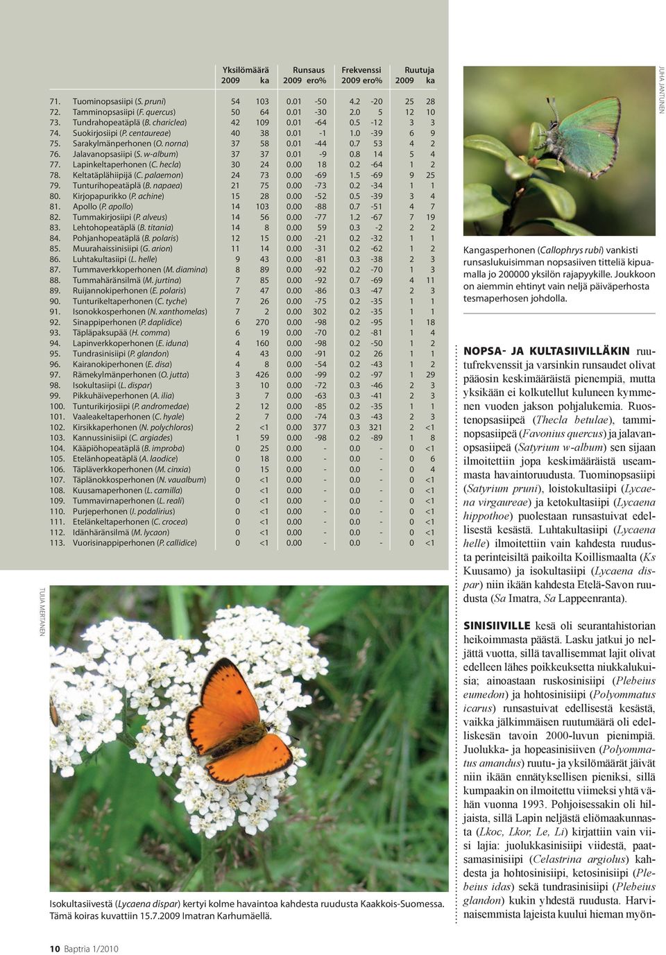 Lapinkeltaperhonen (C. hecla) 3 24. 18.2-64 1 2 78. Keltatäplähiipijä (C. palaemon) 24 73. -69 1.5-69 9 25 79. Tunturihopeatäplä (B. napaea) 21 75. -73.2-34 1 1 8. Kirjopapurikko (P. achine) 15 28.