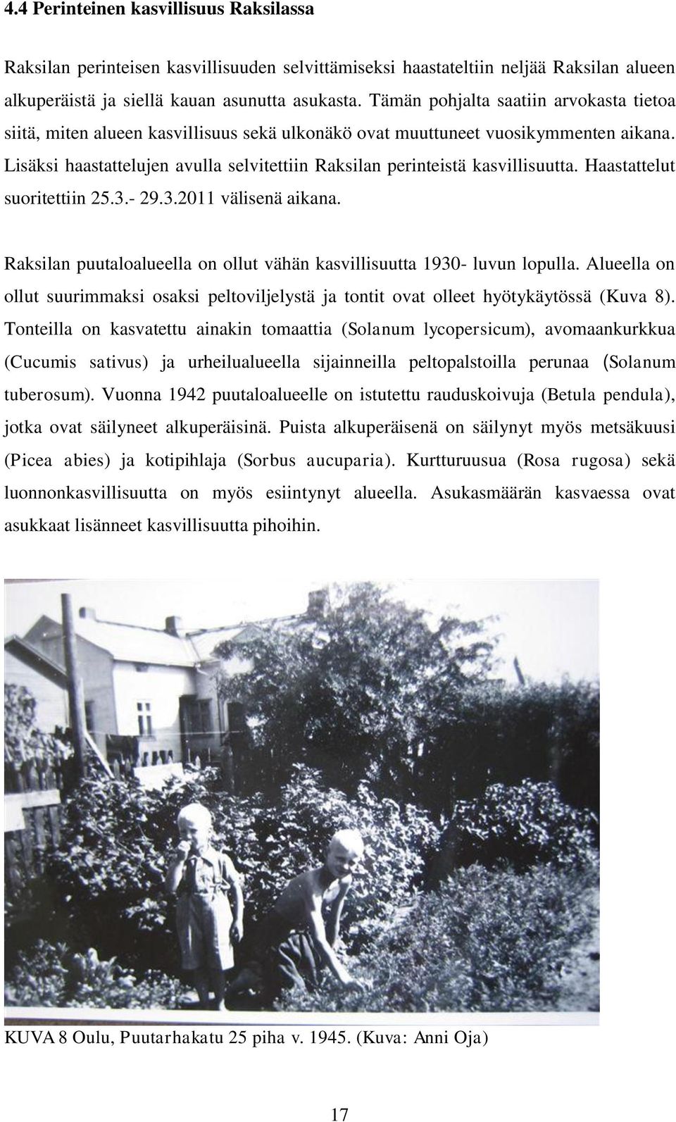 Lisäksi haastattelujen avulla selvitettiin Raksilan perinteistä kasvillisuutta. Haastattelut suoritettiin 25.3.- 29.3.2011 välisenä aikana.