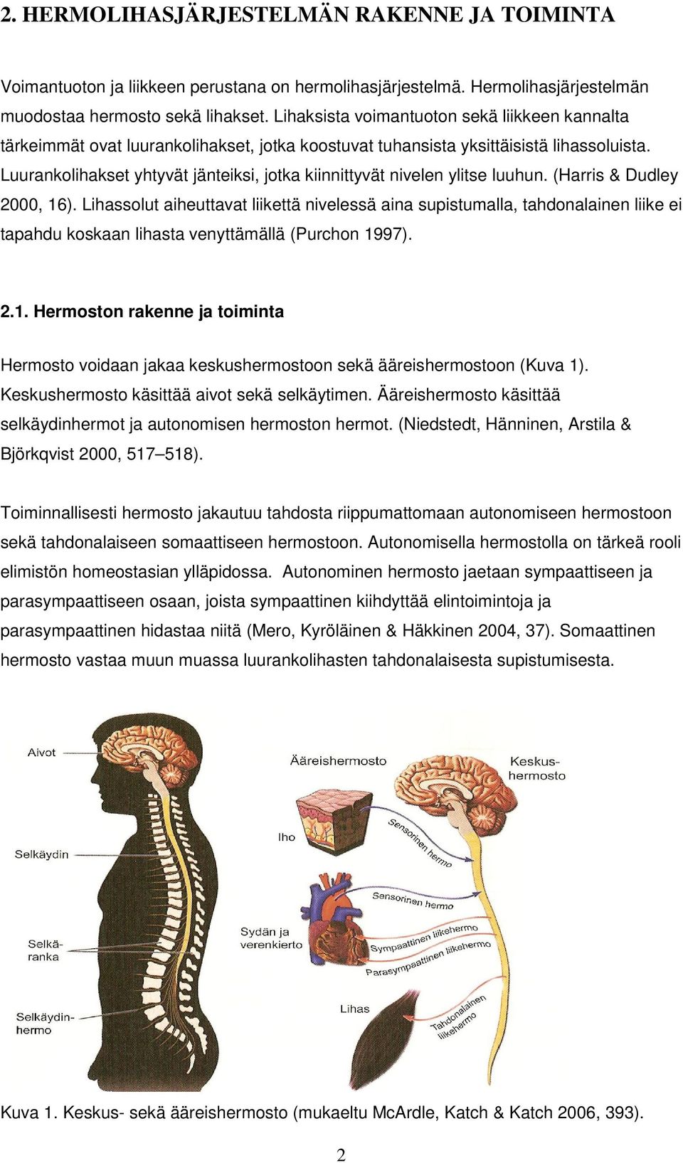 Luurankolihakset yhtyvät jänteiksi, jotka kiinnittyvät nivelen ylitse luuhun. (Harris & Dudley 2000, 16).