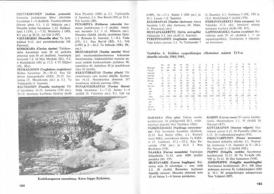 KOSKIKARA (Cinclus sinclus) Talvikaudelta havaintoja noin 20 eri paikalta yhteensä noin ö5 eri )ksilöslä. Suurimpia kertymiä 7.2. 10 Myn Merijoki (EL), 9.2. 6 Mathildedal (JR) ja 17.2. 6 Yl Elijäwi (RL, RLe).