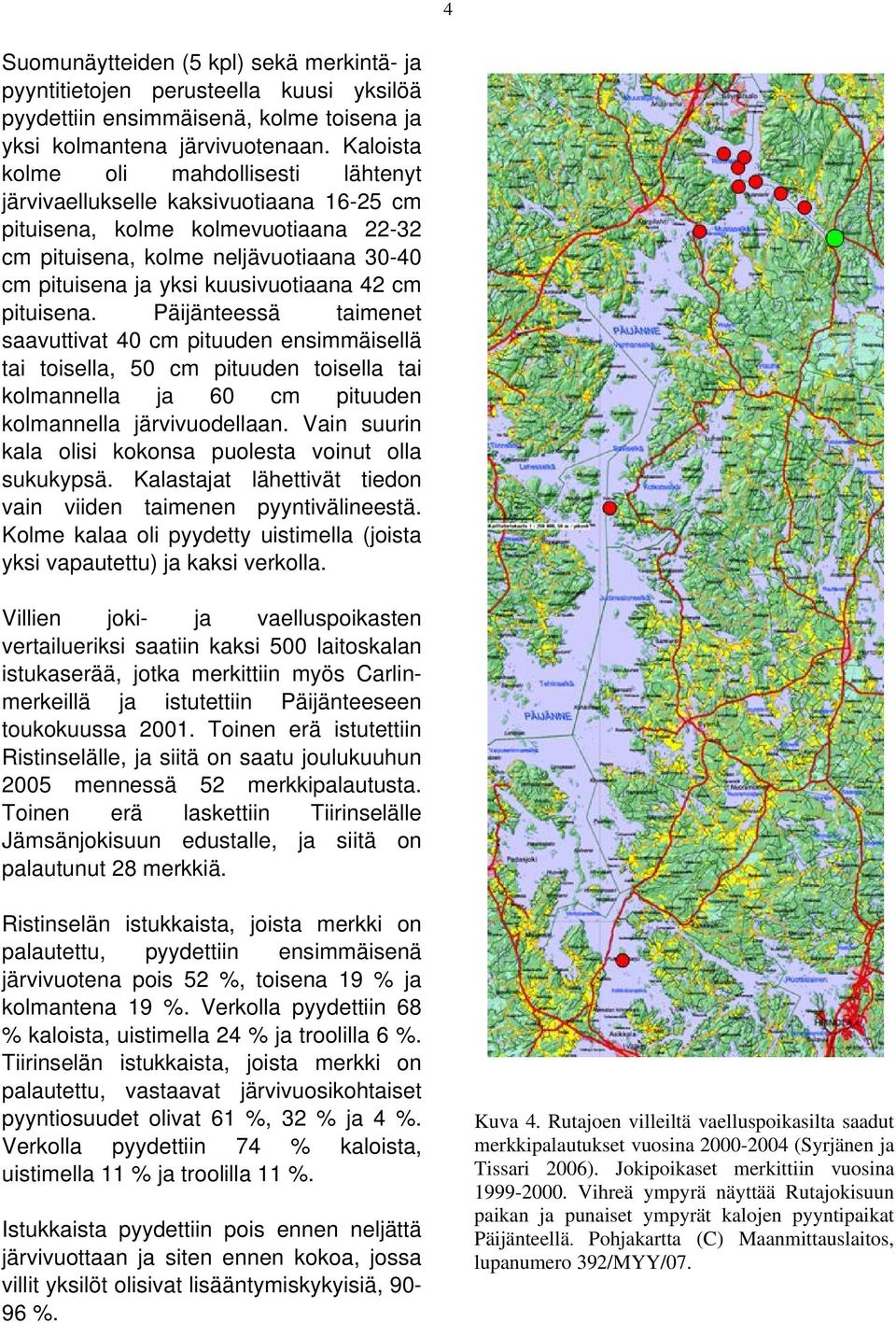 cm pituisena. Päijänteessä taimenet saavuttivat 4 cm pituuden ensimmäisellä tai toisella, 5 cm pituuden toisella tai kolmannella ja 6 cm pituuden kolmannella järvivuodellaan.