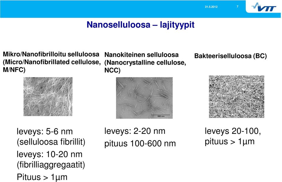 Bakteeriselluloosa (BC) leveys: 5-6 nm (selluloosa fibrillit) leveys: 10-20 nm