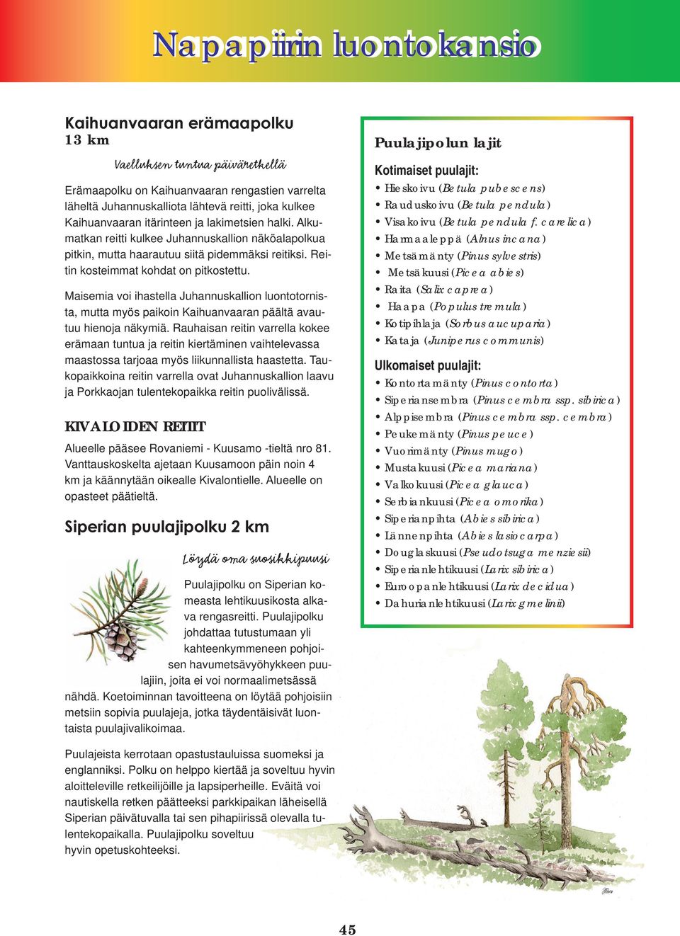 Maisemia voi ihastella Juhannuskallion luontotornista, mutta myös paikoin Kaihuanvaaran päältä avautuu hienoja näkymiä.