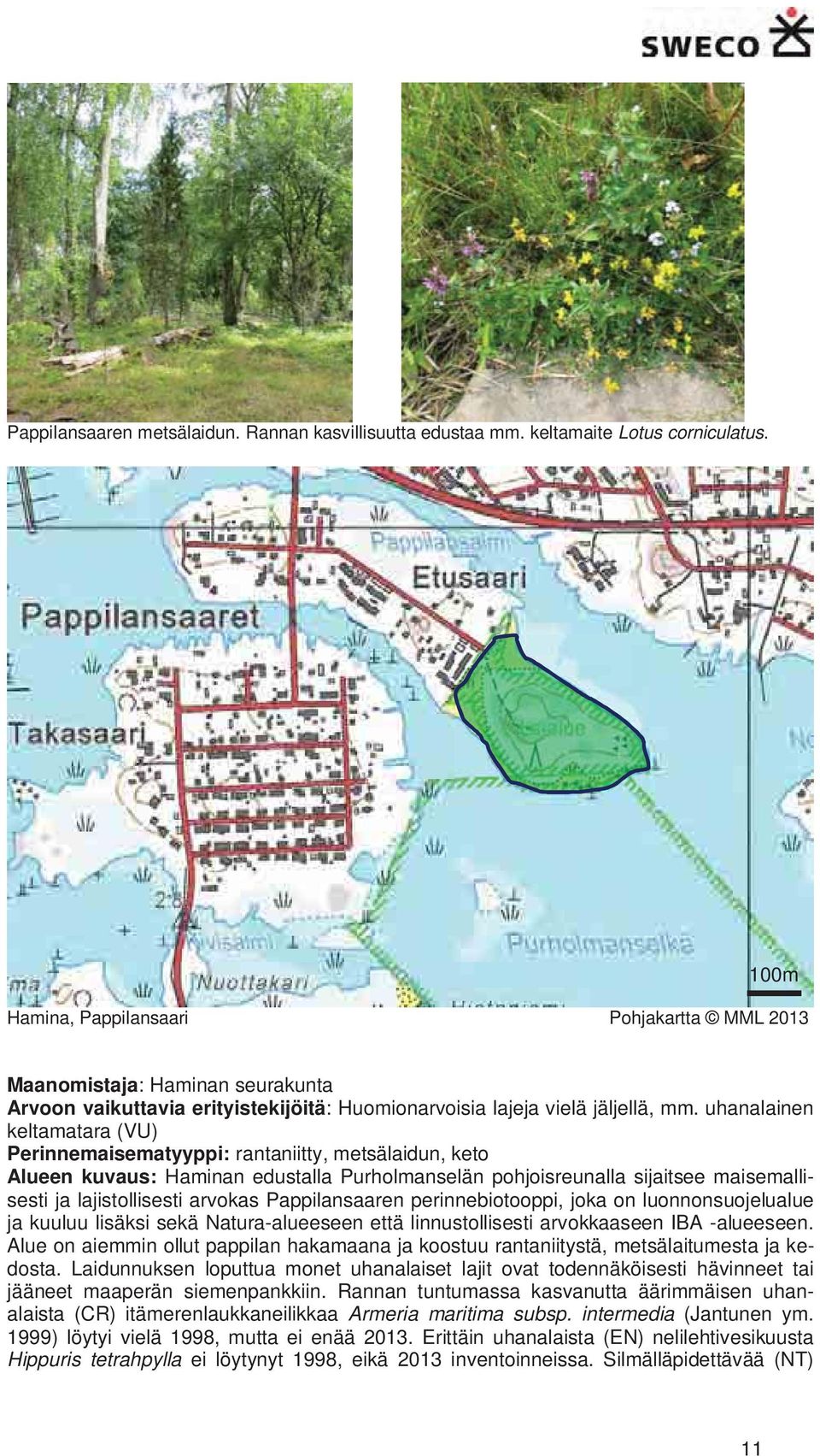 uhanalainen keltamatara (VU) Perinnemaisematyyppi: rantaniitty, metsälaidun, keto Alueen kuvaus: Haminan edustalla Purholmanselän pohjoisreunalla sijaitsee maisemallisesti ja lajistollisesti arvokas