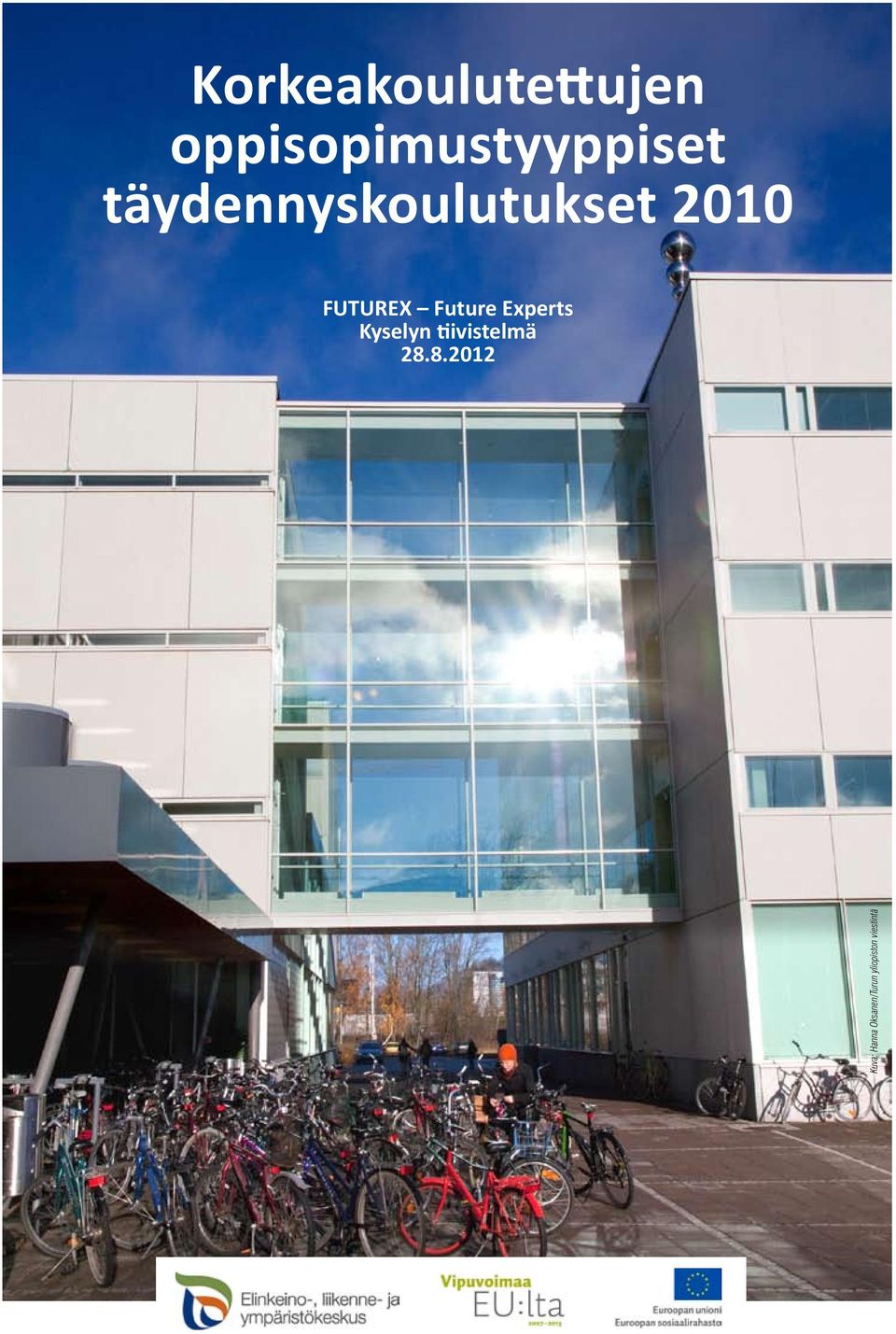 Experts Kyselyn tiivistelmä 28.