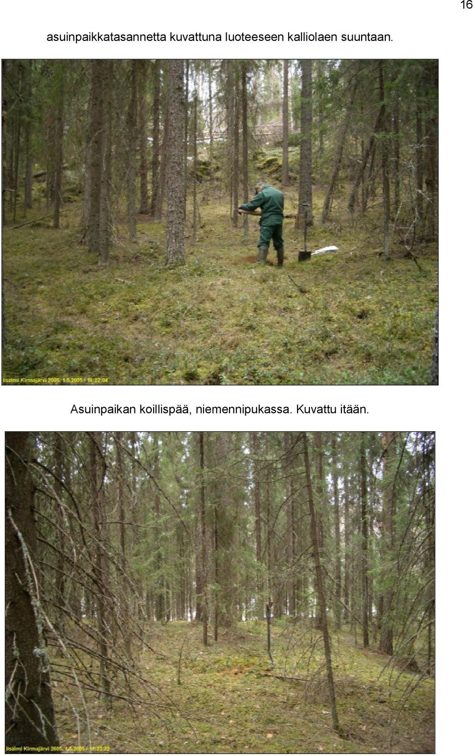kalliolaen suuntaan.