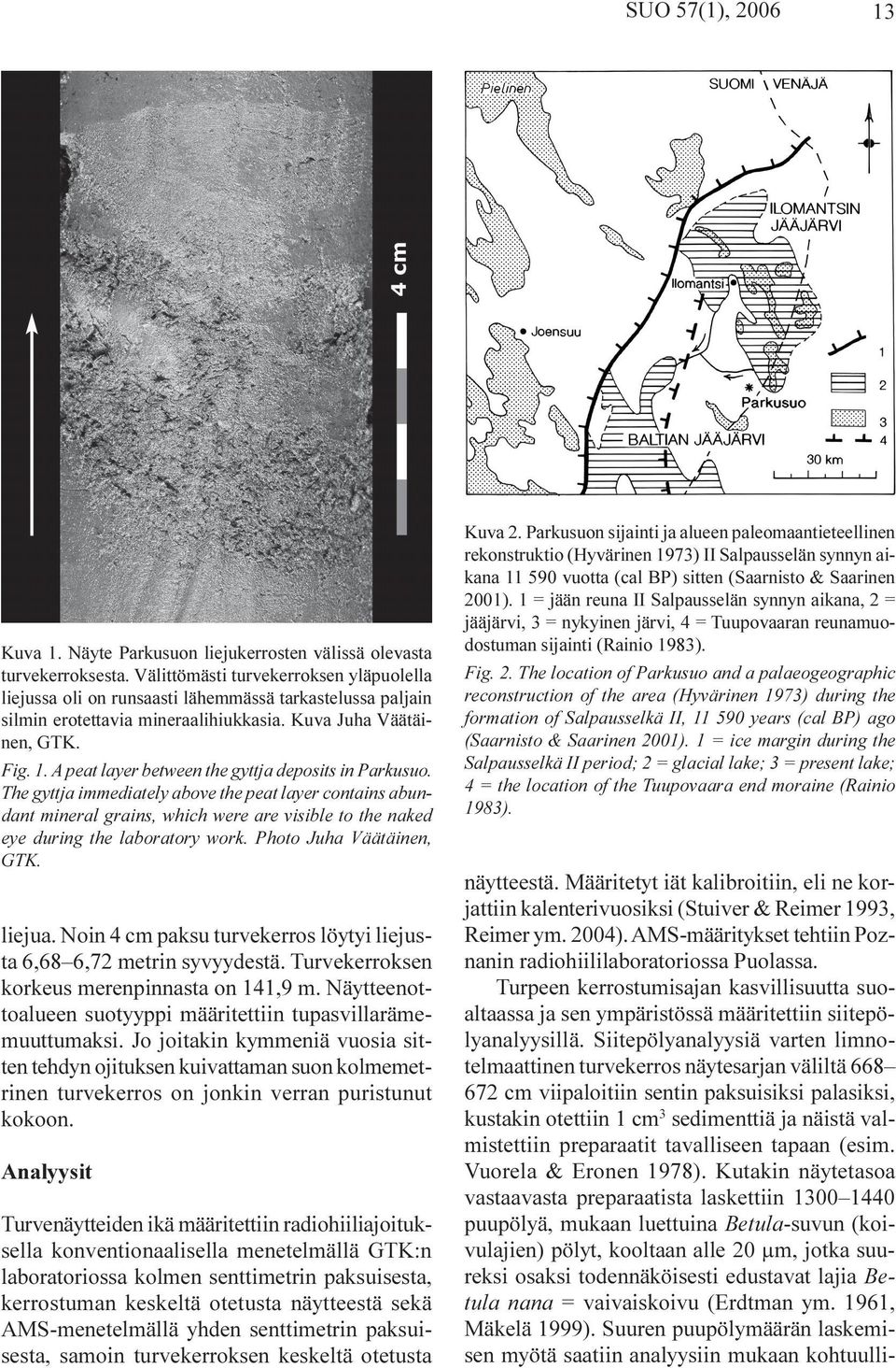 A peat layer between the gyttja deposits in Parkusuo. The gyttja immediately above the peat layer contains abundant mineral grains, which were are visible to the naked eye during the laboratory work.