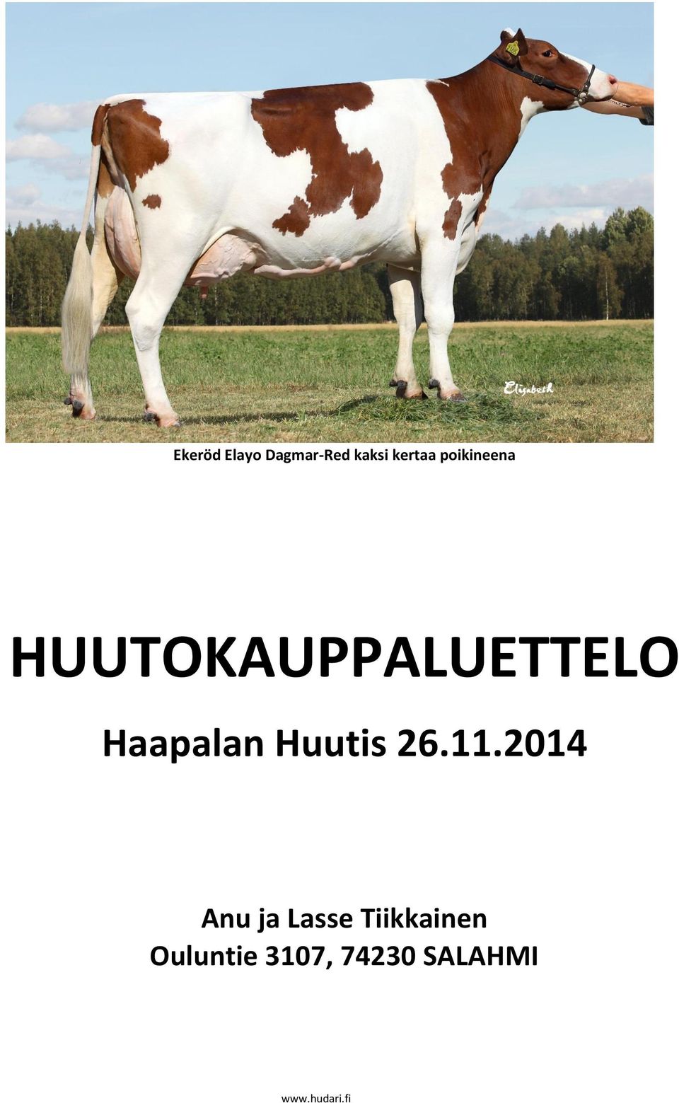 Haapalan Huutis 26.11.