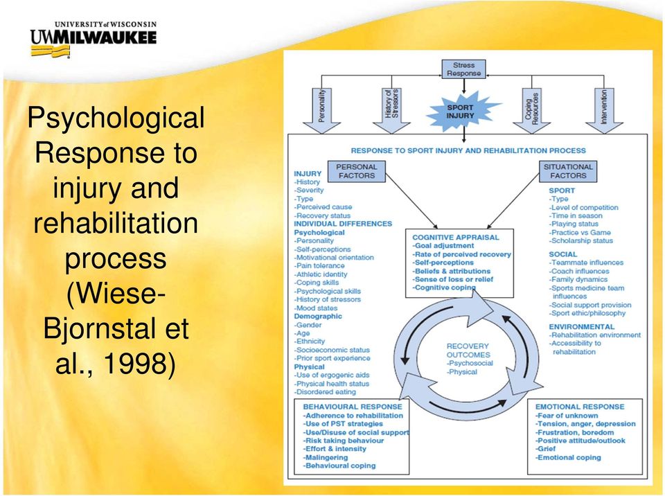 rehabilitation process