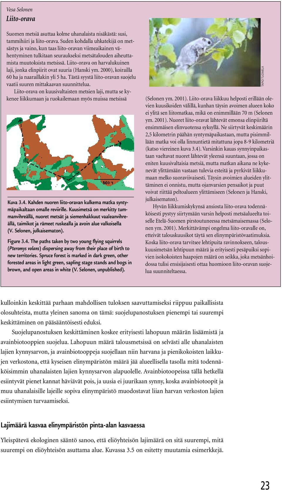 Liito-orava on harvalukuinen laji, jonka elinpiirit ovat suuria (Hanski ym. 2000), koirailla 60 ha ja naaraillakin yli 5 ha. Tästä syystä liito-oravan suojelu vaatii suuren mittakaavan suunnittelua.
