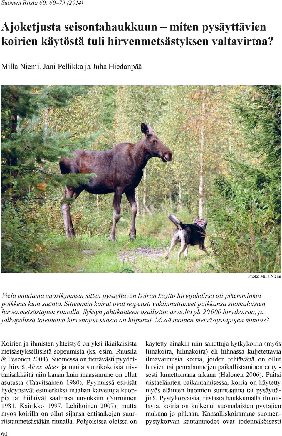 Sittemmin koirat ovat nopeati vakiinnuttaneet paikkana uomalaiten hirvenmetätäjien rinnalla.