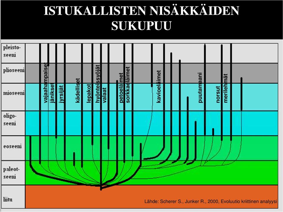 petoeläimet sorkkaeläimet kavioeläimet puutamaani norsut