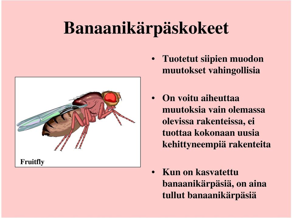 olevissa rakenteissa, ei tuottaa kokonaan uusia kehittyneempiä