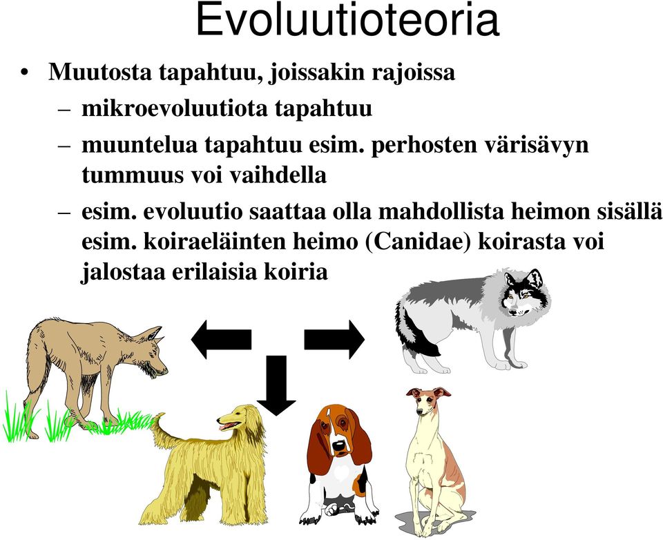 perhosten värisävyn tummuus voi vaihdella esim.