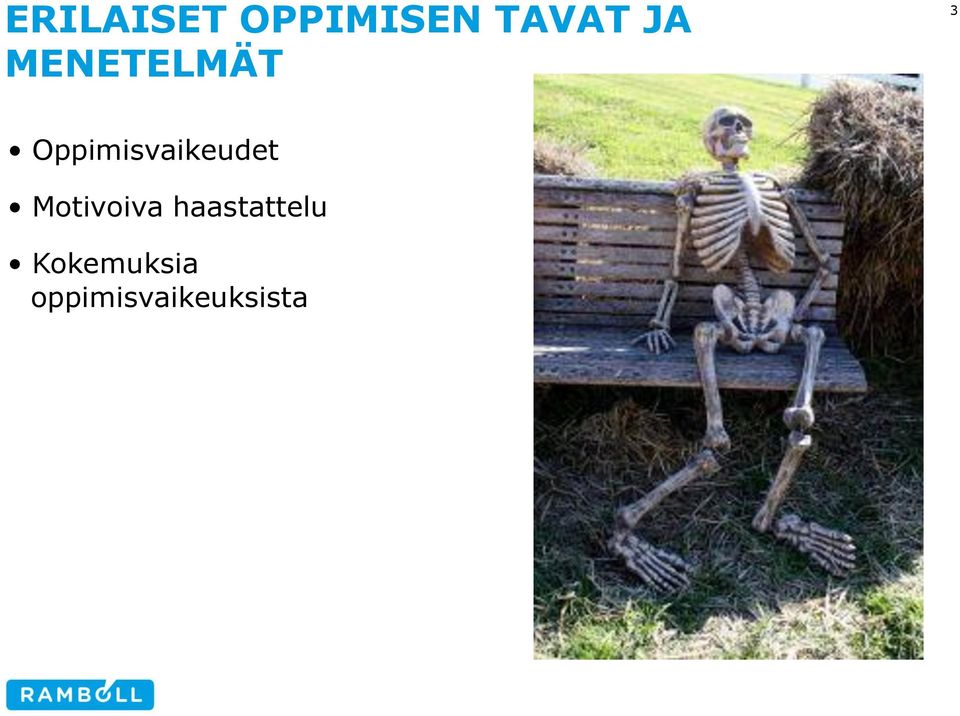 Oppimisvaikeudet Motivoiva