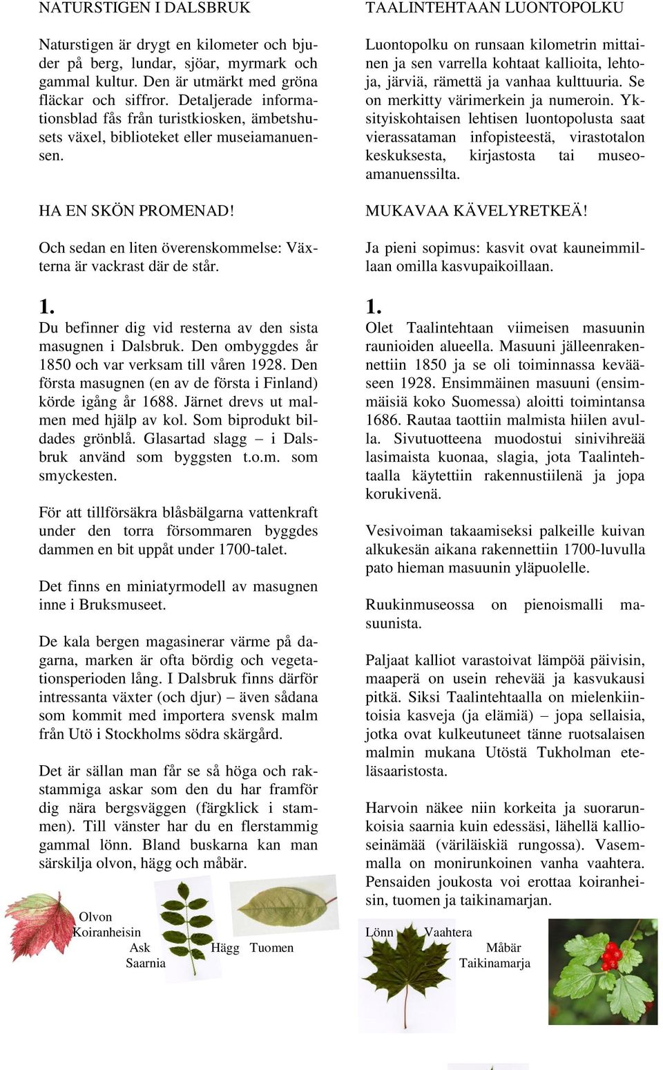 1. Du befinner dig vid resterna av den sista masugnen i Dalsbruk. Den ombyggdes år 1850 och var verksam till våren 1928. Den första masugnen (en av de första i Finland) körde igång år 1688.