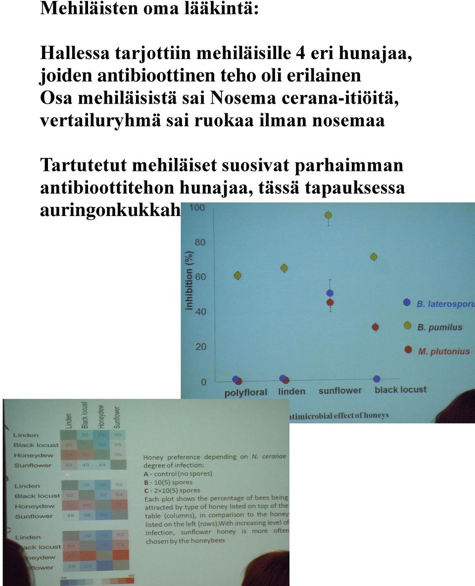 cerana-itiöitä, vertailuryhmä sai ruokaa ilman nosemaa Tartutetut