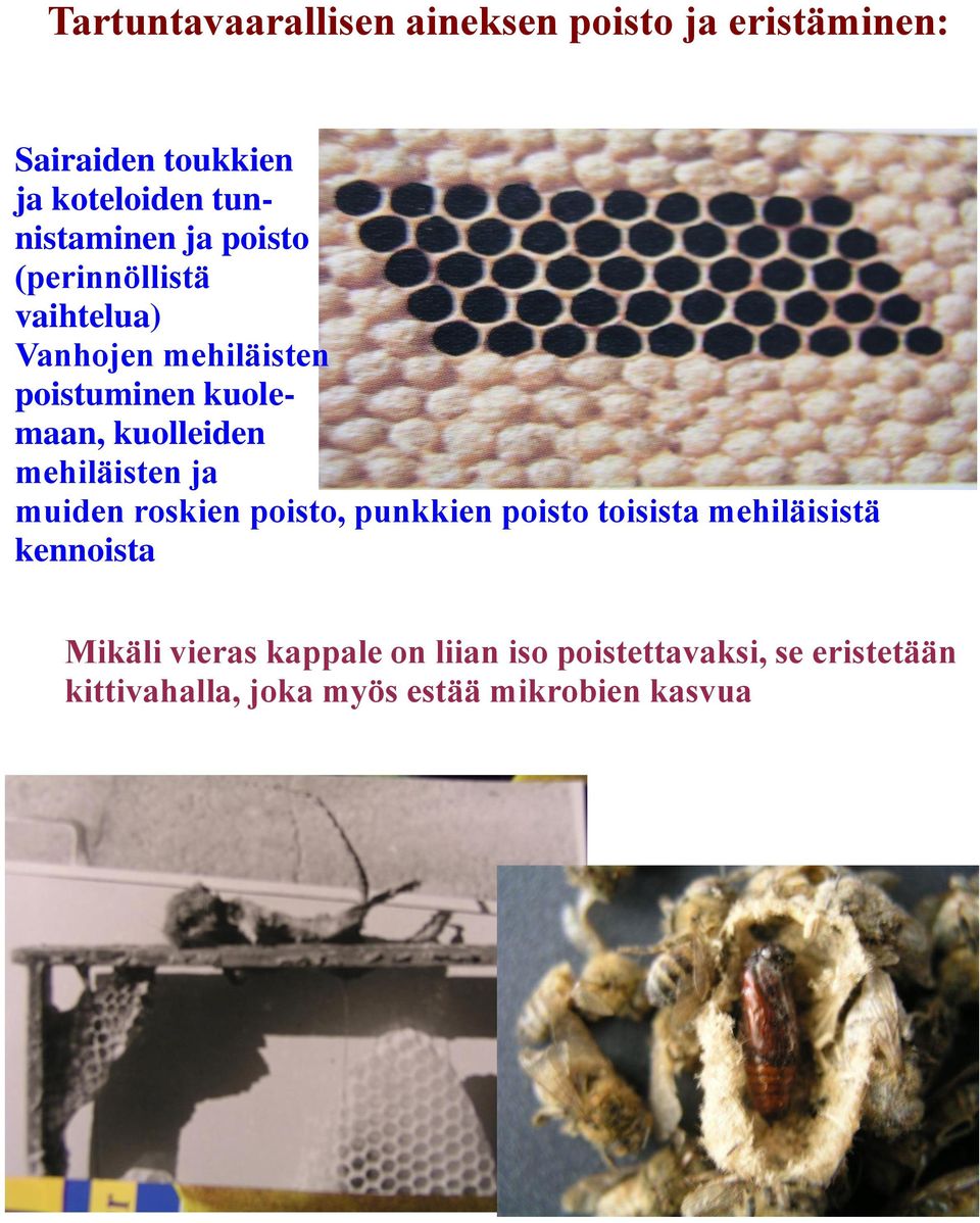 kuolleiden mehiläisten ja muiden roskien poisto, punkkien poisto toisista mehiläisistä kennoista