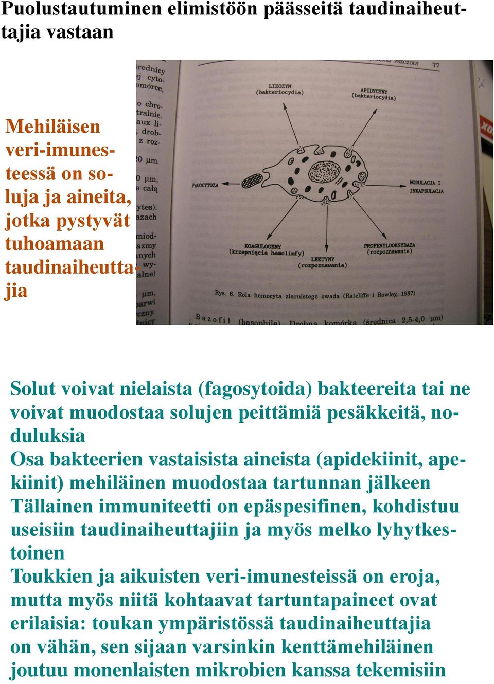 tartunnan jälkeen Tällainen immuniteetti on epäspesifinen, kohdistuu useisiin taudinaiheuttajiin ja myös melko lyhytkestoinen Toukkien ja aikuisten veri-imunesteissä on eroja,