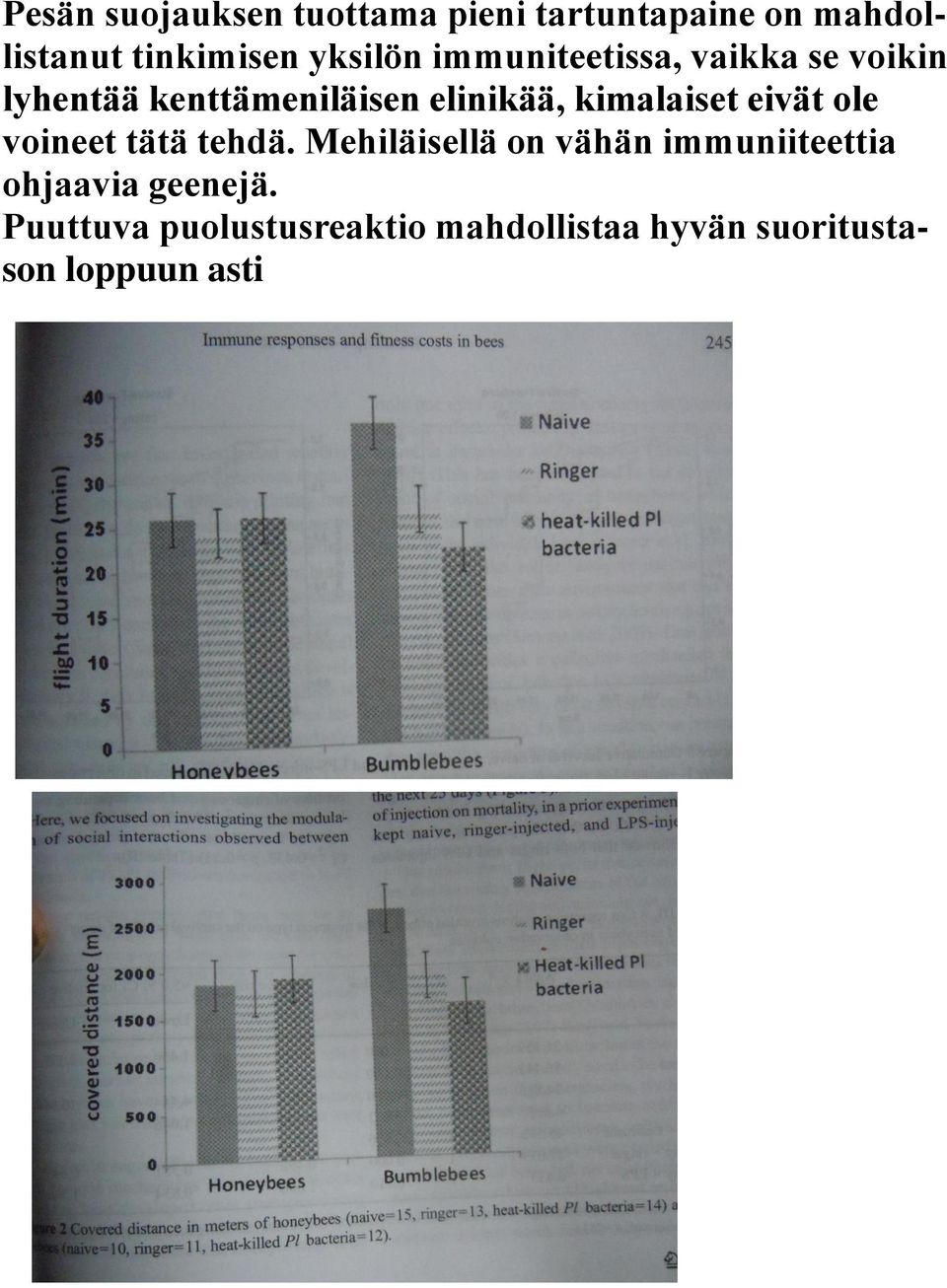kimalaiset eivät ole voineet tätä tehdä.