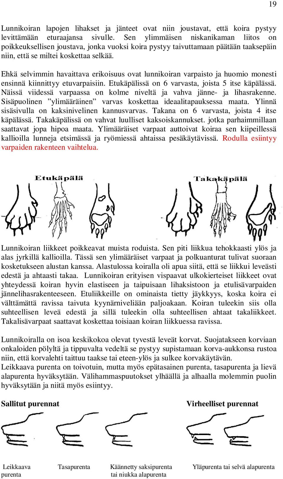 Ehkä selvimmin havaittava erikoisuus ovat lunnikoiran varpaisto ja huomio monesti ensinnä kiinnittyy etuvarpaisiin. Etukäpälissä on 6 varvasta, joista 5 itse käpälässä.