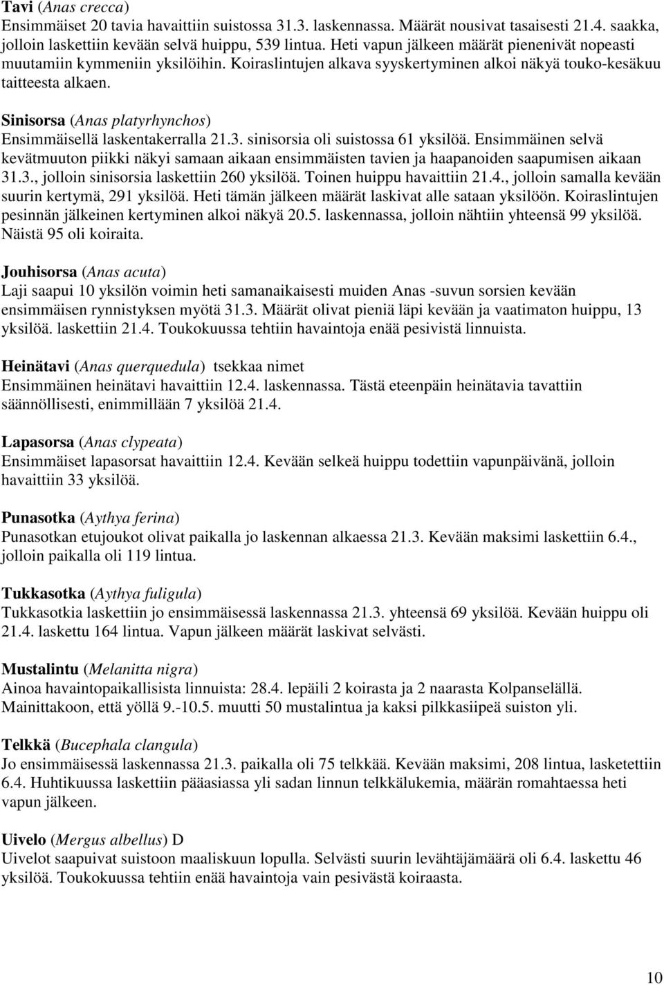 Sinisorsa (Anas platyrhynchos) Ensimmäisellä laskentakerralla 21.3. sinisorsia oli suistossa 61 yksilöä.