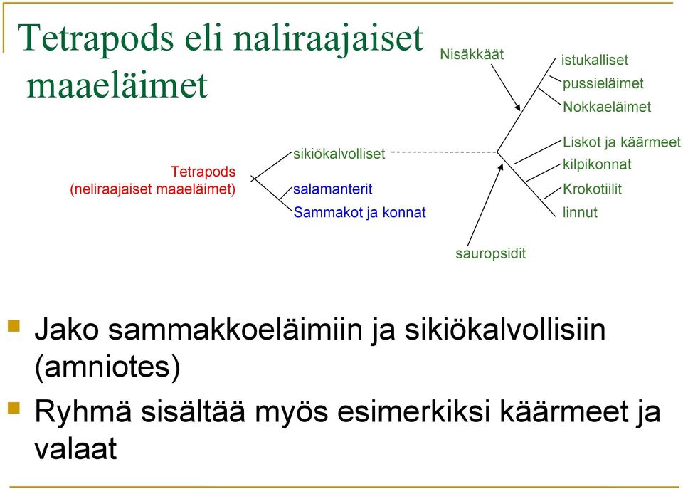 Sammakot ja konnat Liskot ja käärmeet kilpikonnat Krokotiilit linnut sauropsidit