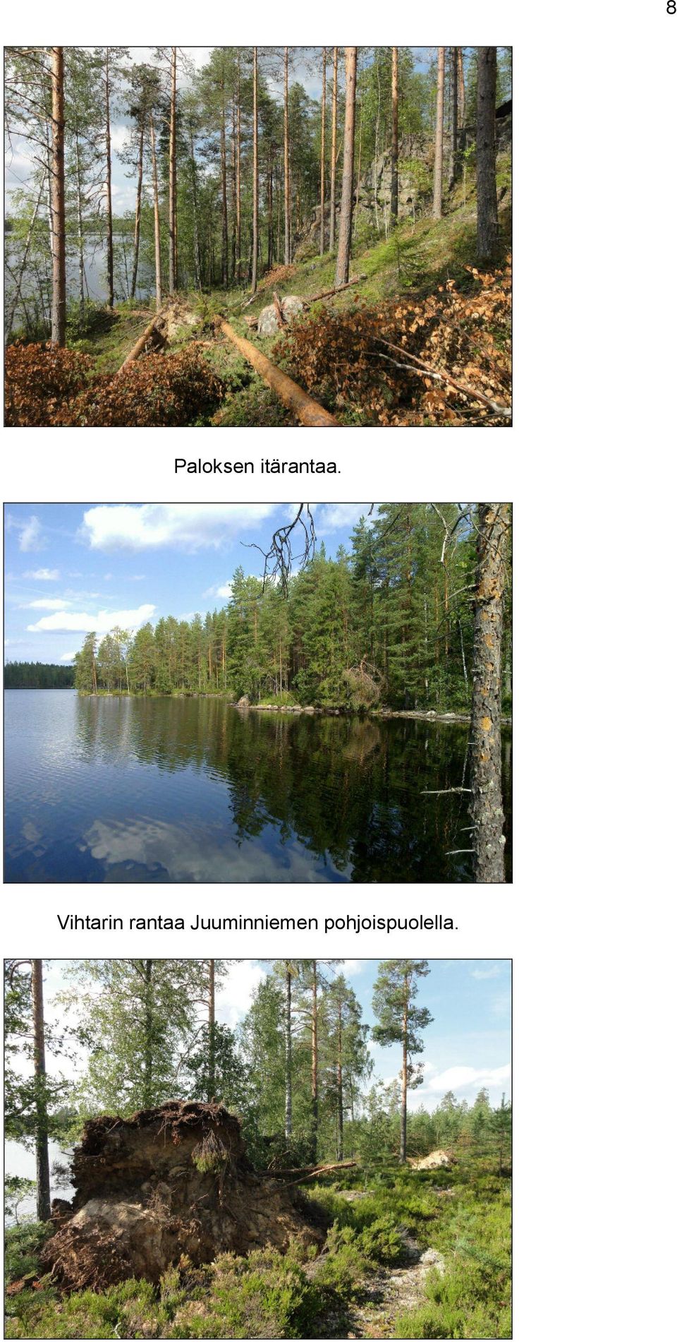 Vihtarin rantaa