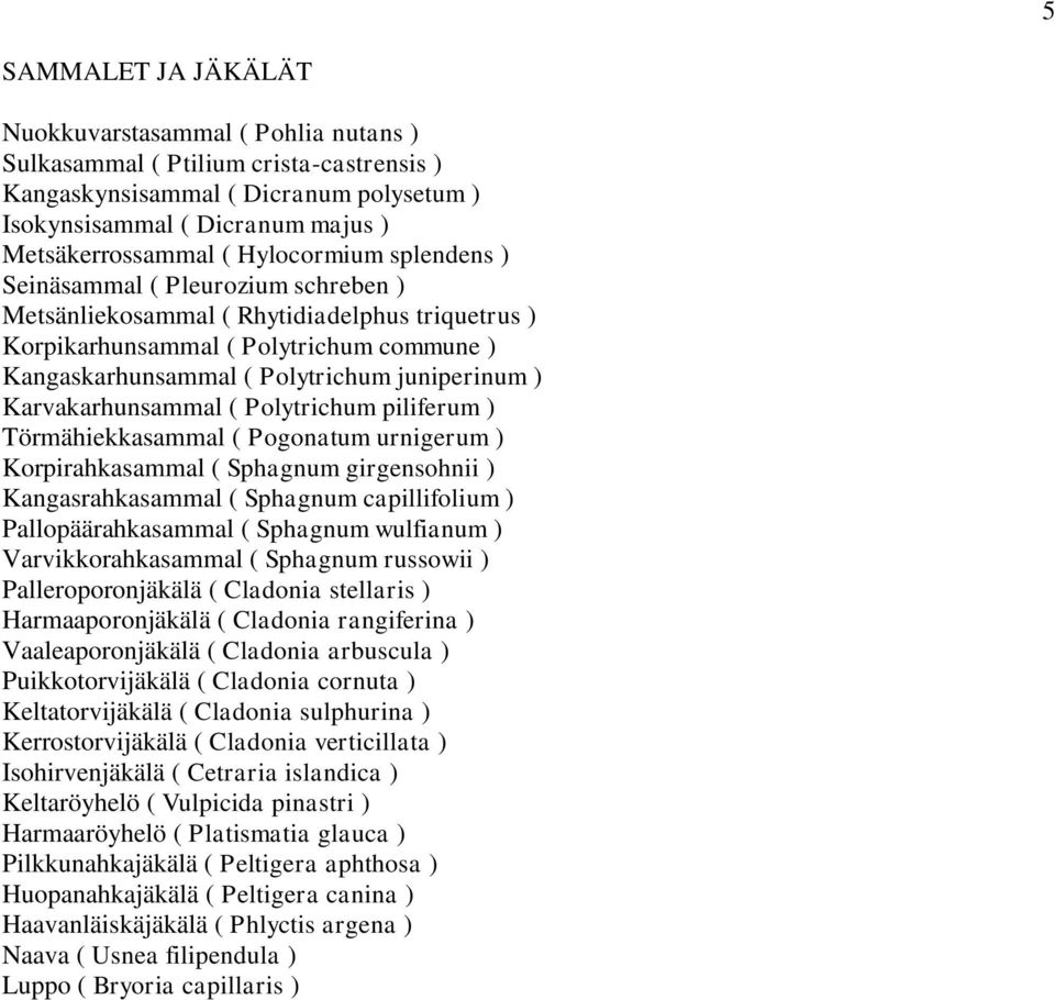 Karvakarhunsammal ( Polytrichum piliferum ) Törmähiekkasammal ( Pogonatum urnigerum ) Korpirahkasammal ( Sphagnum girgensohnii ) Kangasrahkasammal ( Sphagnum capillifolium ) Pallopäärahkasammal (