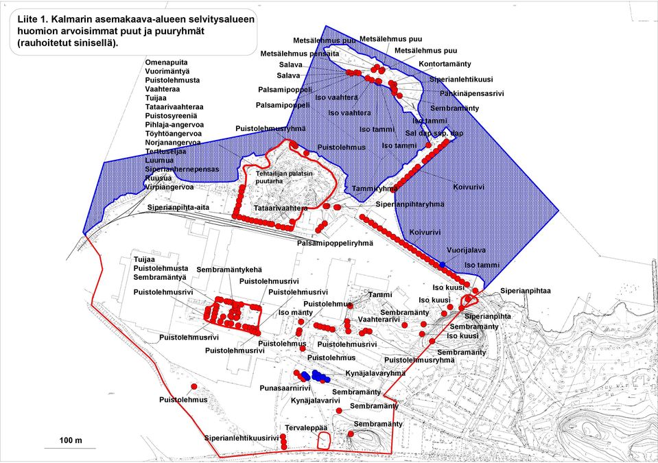 Metsälehmus pensaita Salava Salava Palsamipoppeli Iso vaahtera Palsamipoppeli Iso vaahtera Puistolehmusryhmä Tehtailijan palatsin puutarha Metsälehmus puu Puistolehmus Metsälehmus puu Iso tammi