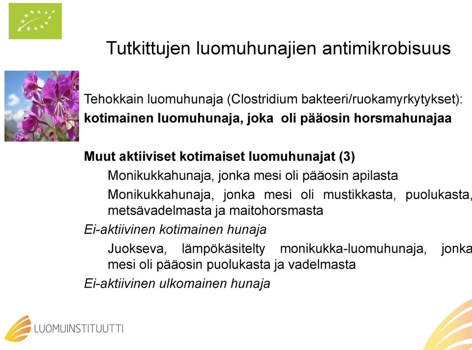 mesi oli mustikkasta, puolukasta, metsävadelmasta ja maitohorsmasta Ei-aktiivinen kotimainen hunaja Juokseva, lämpökäsitelty