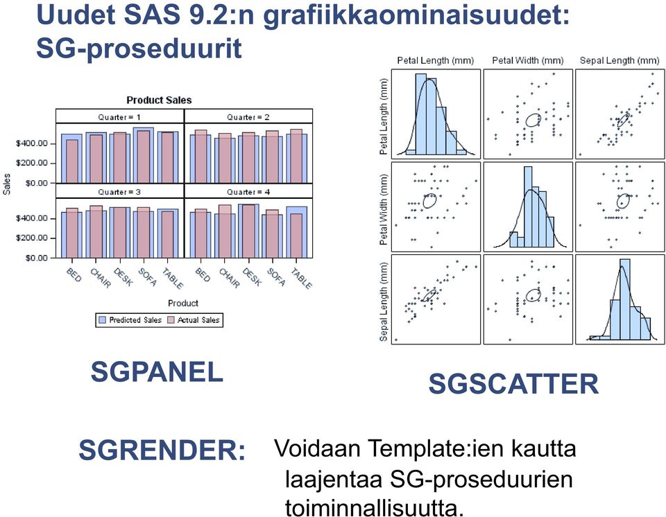 SG-proseduurit SGPANEL SGRENDER: