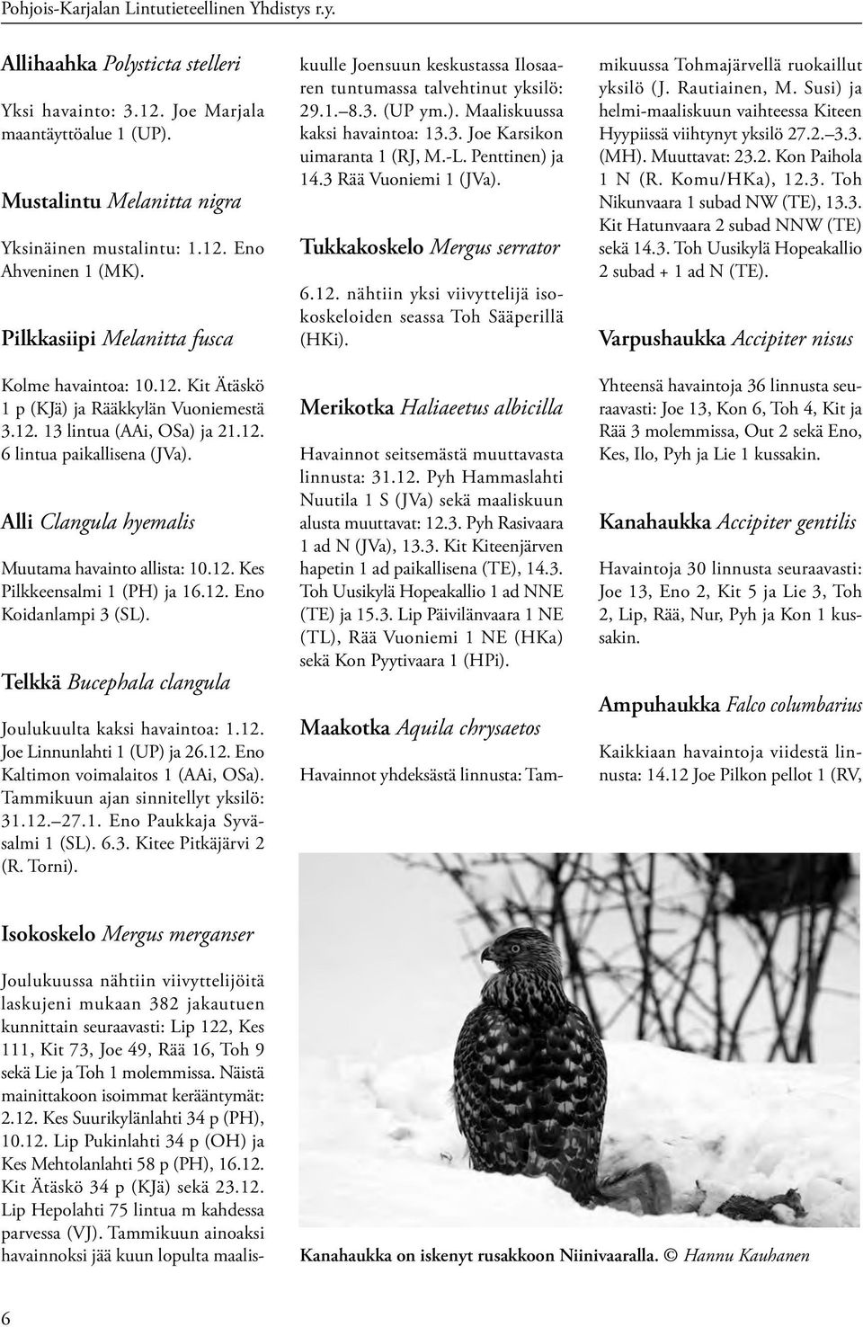 Alli Clangula hyemalis Muutama havainto allista: 10.12. Kes Pilkkeensalmi 1 (PH) ja 16.12. Eno Koidanlampi 3 (SL). Telkkä Bucephala clangula Joulukuulta kaksi havaintoa: 1.12. Joe Linnunlahti 1 (UP) ja 26.