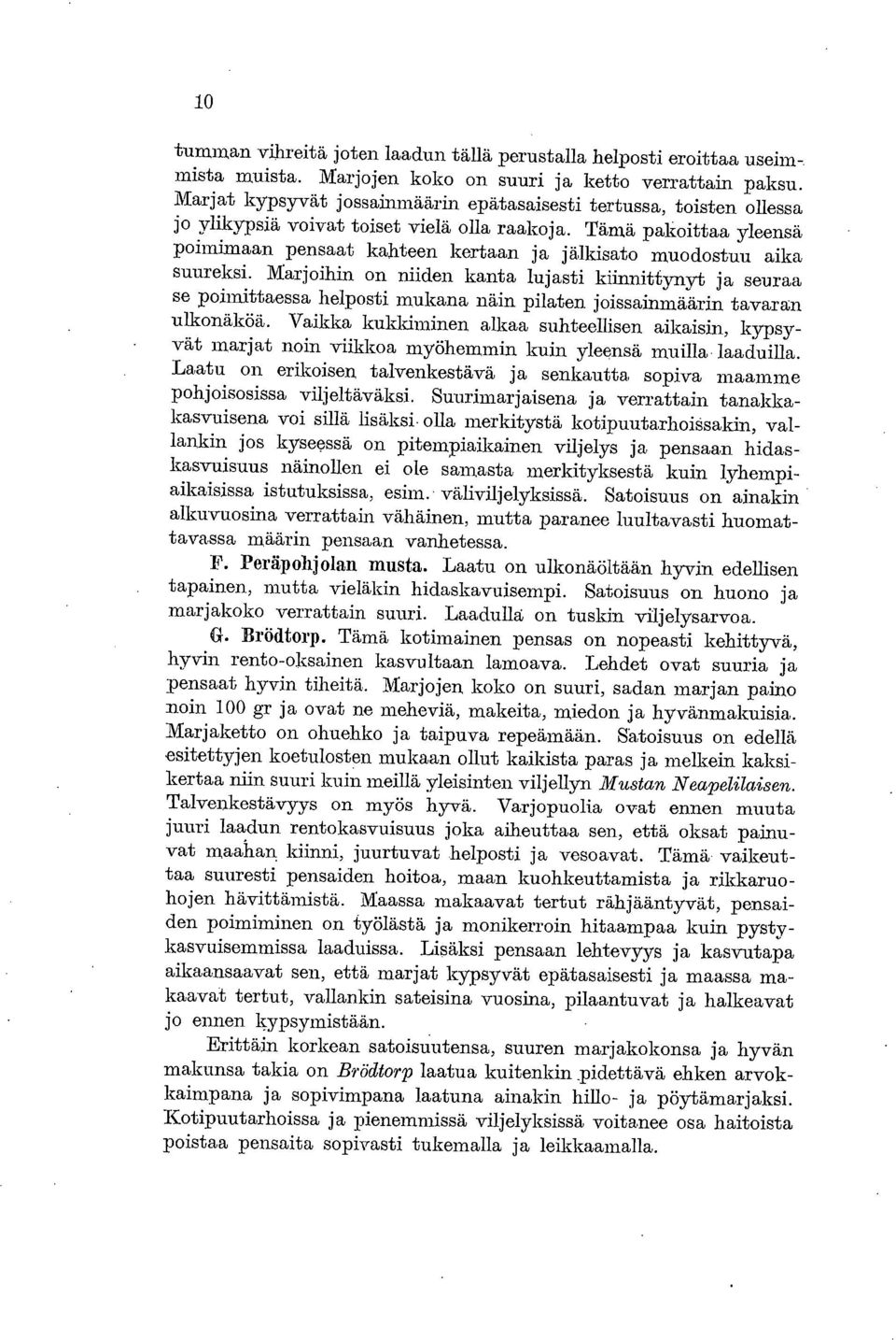 Tämä pakoittaa yleensä poimimaan pensaat kahteen kertaan ja jälkisato muodostuu aika suureksi.